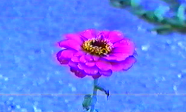 still03 (1)-rsz